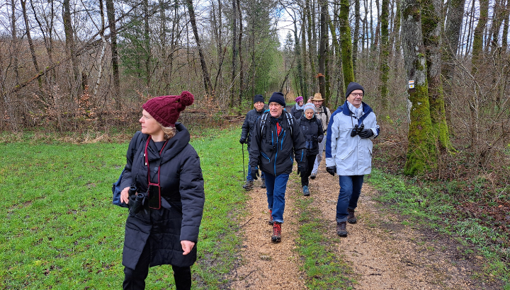 Les oiseaux du printemps à Larivière